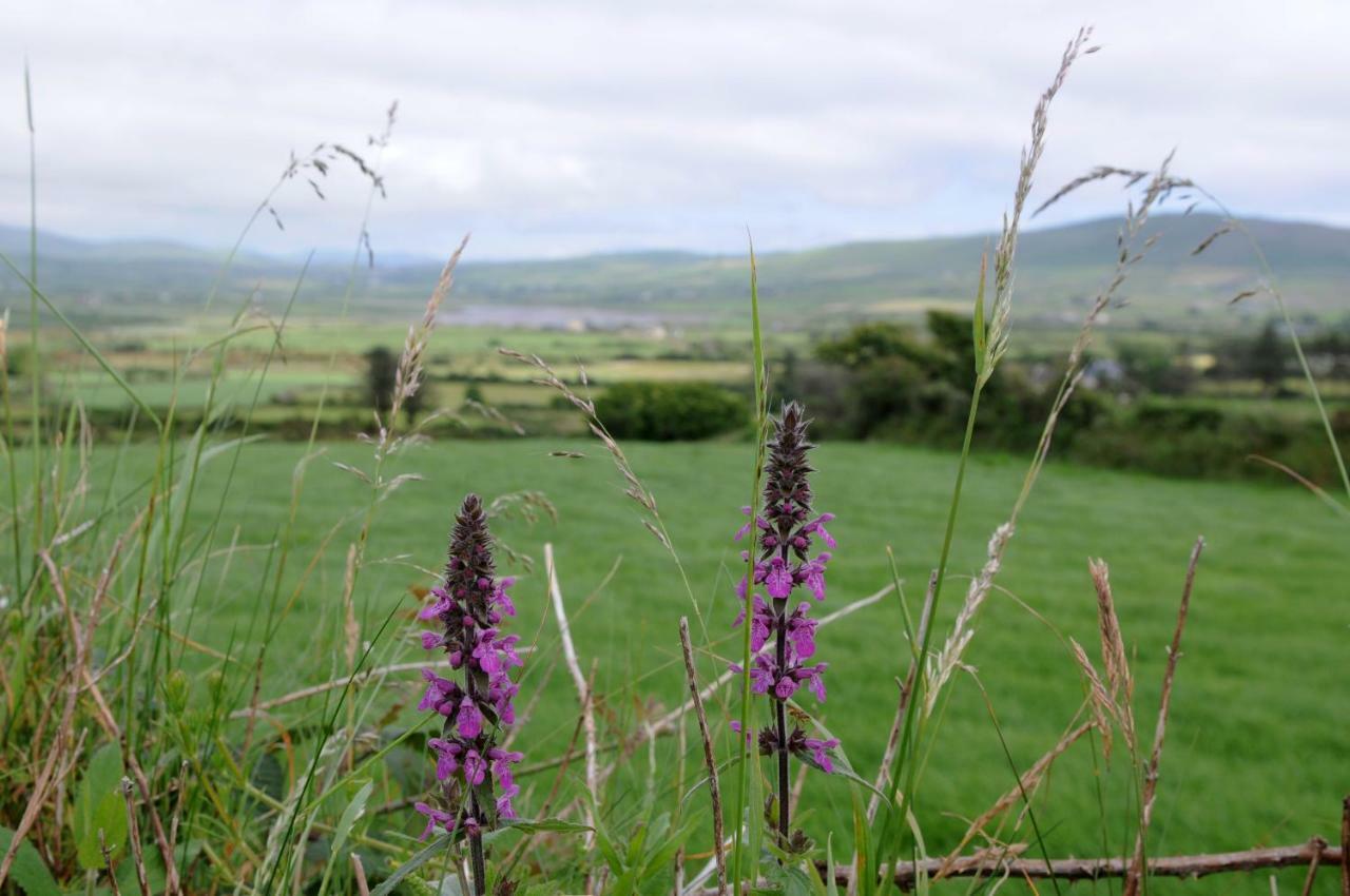 Short Strand Dingle Emlagh East Екстер'єр фото